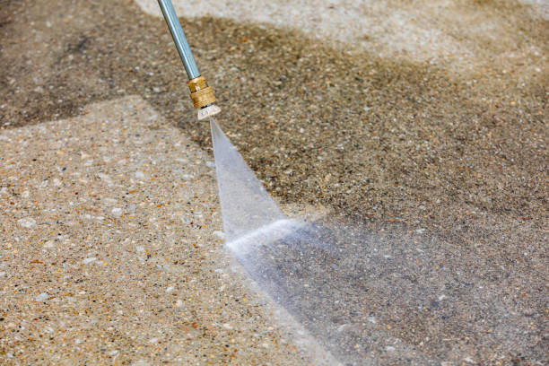 Best Animal Enclosure Cleaning  in Hayfield, MN