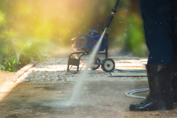 Best Patio and Deck Pressure Washing  in Hayfield, MN